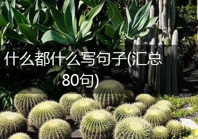 什么都什么写句子(汇总80句)