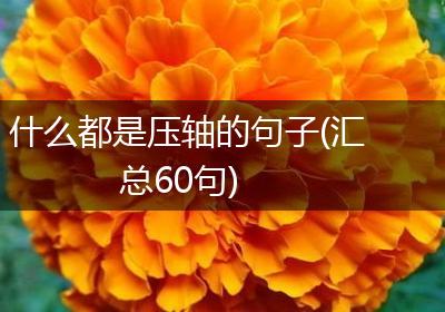 什么都是压轴的句子(汇总60句)