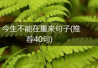 今生不能在重来句子(推荐40句)