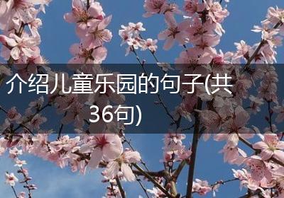 介绍儿童乐园的句子(共36句)