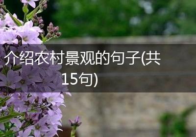 介绍农村景观的句子(共15句)