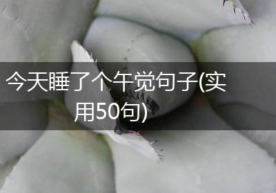 今天睡了个午觉句子(实用50句)