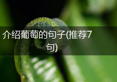 介绍葡萄的句子(推荐7句)
