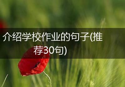 介绍学校作业的句子(推荐30句)