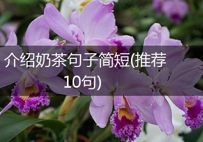 介绍奶茶句子简短(推荐10句)
