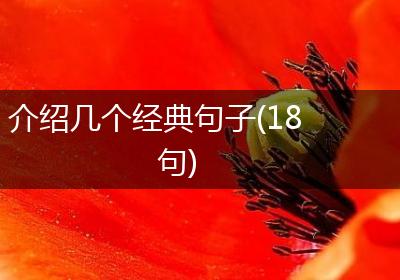 介绍几个经典句子(18句)