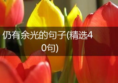 仍有余光的句子(精选40句)