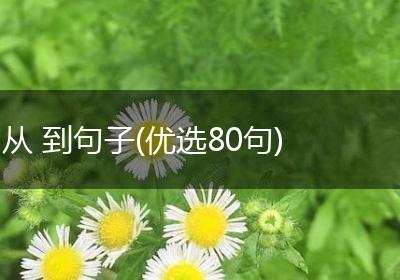 从 到句子(优选80句)