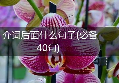 介词后面什么句子(必备40句)