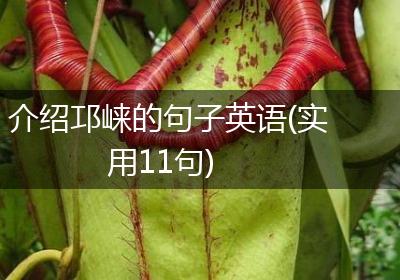 介绍邛崃的句子英语(实用11句)