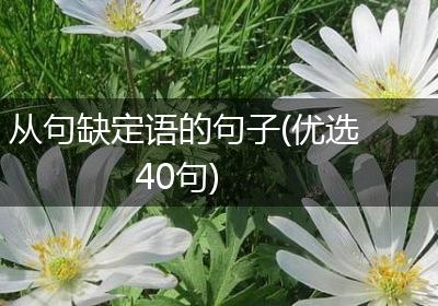 从句缺定语的句子(优选40句)