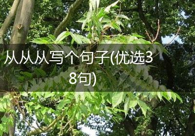 从从从写个句子(优选38句)