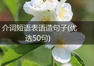 介词短语表语造句子(优选50句)