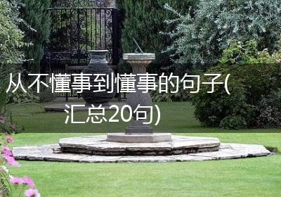 从不懂事到懂事的句子(汇总20句)