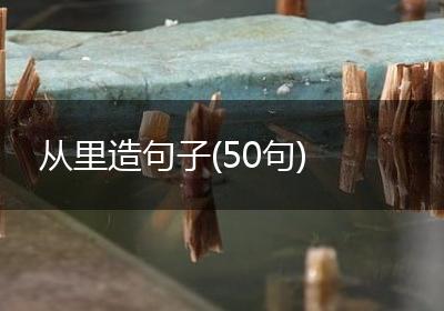 从里造句子(50句)