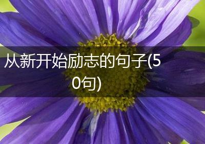 从新开始励志的句子(50句)