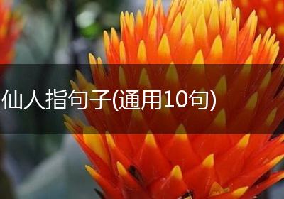 仙人指句子(通用10句)