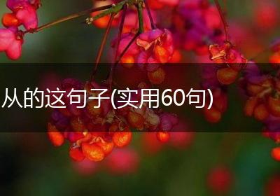 从的这句子(实用60句)