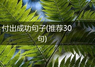 付出成功句子(推荐30句)