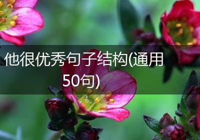 他很优秀句子结构(通用50句)