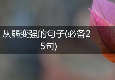 从弱变强的句子(必备25句)