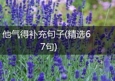 他气得补充句子(精选67句)