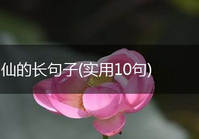 仙的长句子(实用10句)