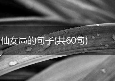仙女局的句子(共60句)