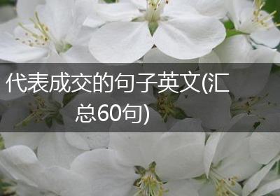 代表成交的句子英文(汇总60句)