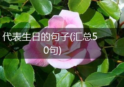 代表生日的句子(汇总50句)