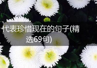 代表珍惜现在的句子(精选69句)