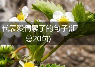 代表爱情累了的句子(汇总20句)