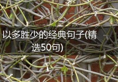 以多胜少的经典句子(精选50句)