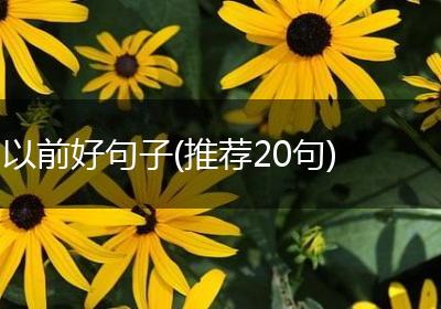 以前好句子(推荐20句)