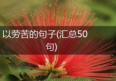 以劳苦的句子(汇总50句)