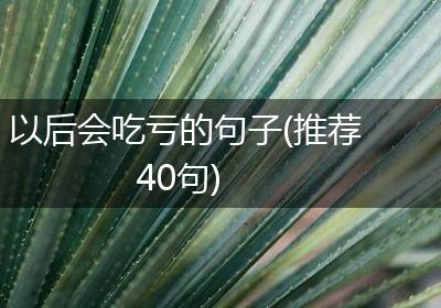 以后会吃亏的句子(推荐40句)