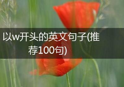 以w开头的英文句子(推荐100句)