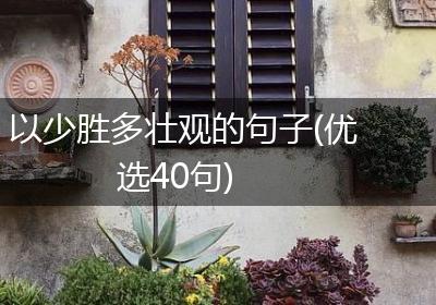 以少胜多壮观的句子(优选40句)