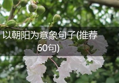 以朝阳为意象句子(推荐60句)