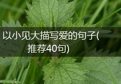 以小见大描写爱的句子(推荐40句)