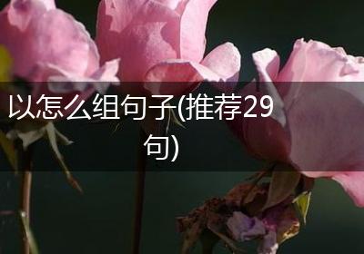 以怎么组句子(推荐29句)