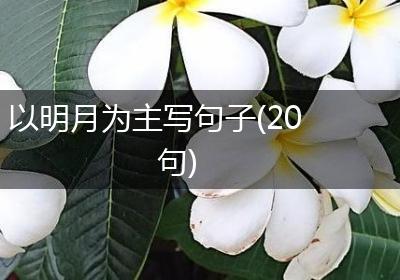 以明月为主写句子(20句)
