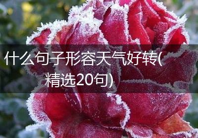 什么句子形容天气好转(精选20句)