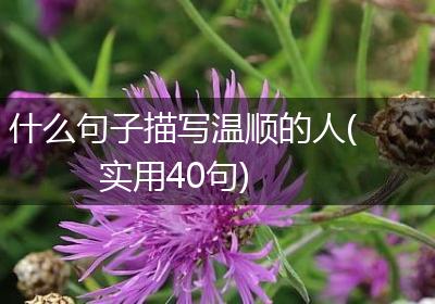 什么句子描写温顺的人(实用40句)