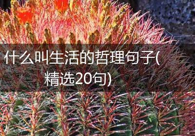 什么叫生活的哲理句子(精选20句)