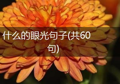 什么的眼光句子(共60句)