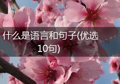 什么是语言和句子(优选10句)