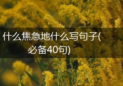 什么焦急地什么写句子(必备40句)