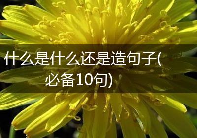 什么是什么还是造句子(必备10句)