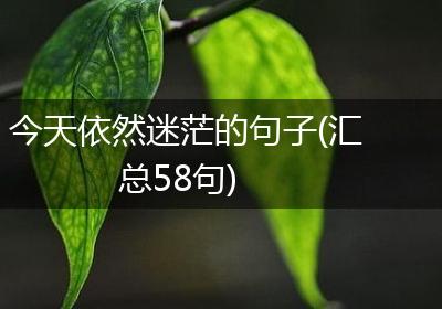 今天依然迷茫的句子(汇总58句)